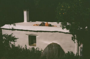The Summer Refuge